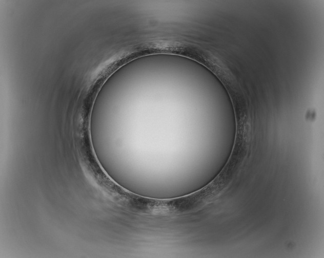 X0000113220587200909241450