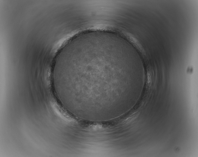 X0000113220588200909241450