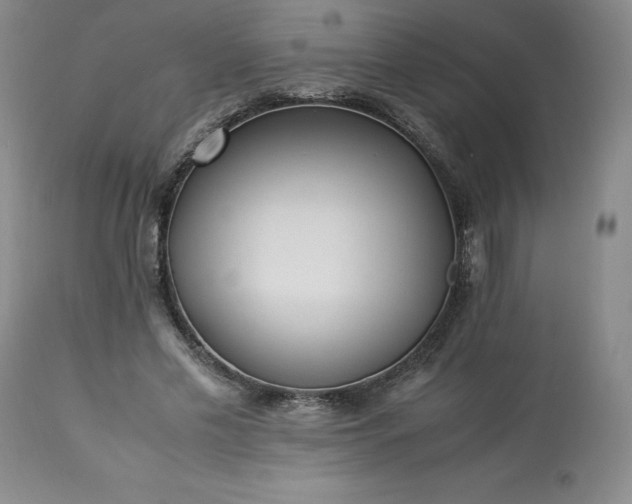 X0000113220589200909241450