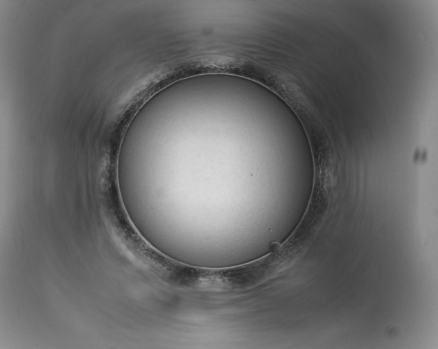 X0000113220591200909241450