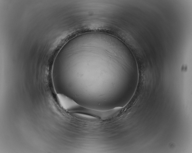 X0000113220592200909241450