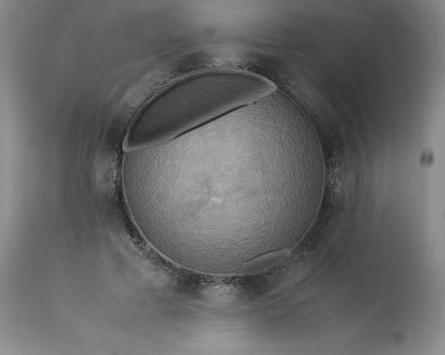 X0000113220593200909241450