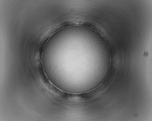 X0000113220594200909241450