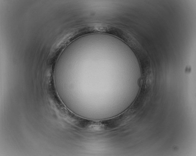 X0000113220595200909241450