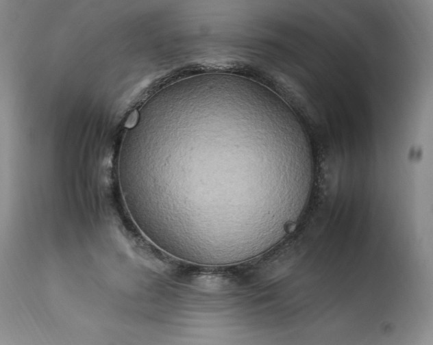 X0000113220596200909241450