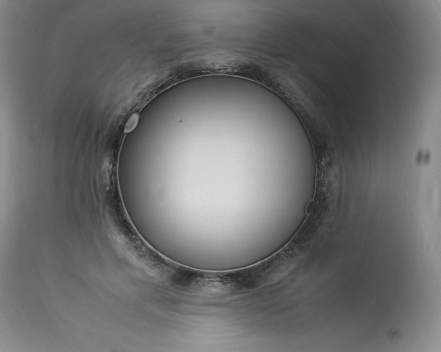 X0000113220597200909241450