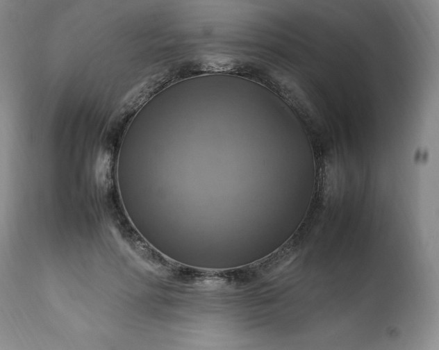 X0000113220598200909241450