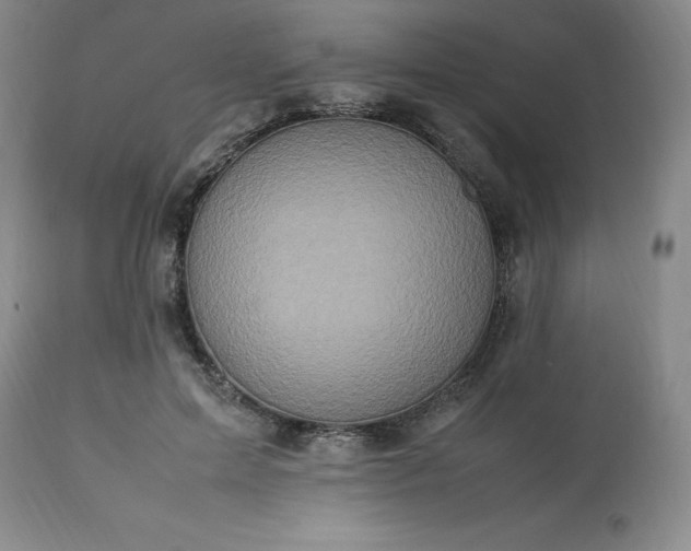 X0000113220599200909241450