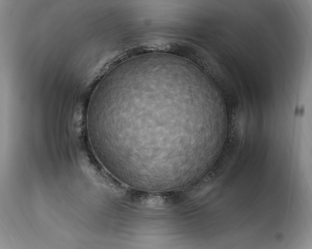 X0000113220600200909241450