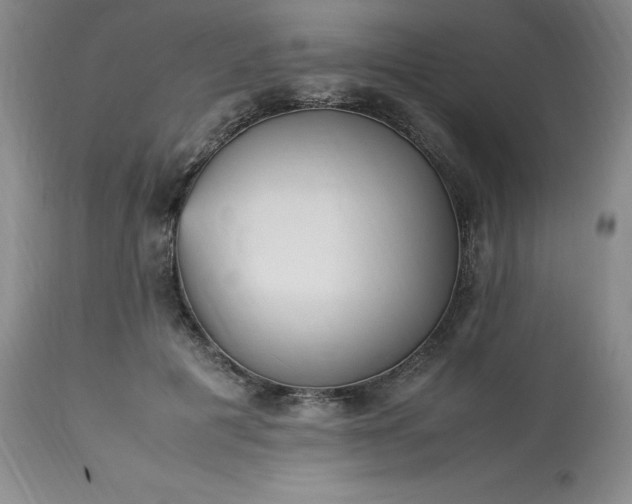 X0000113220601200909241450