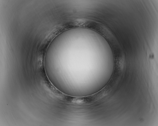 X0000113220602200909241450