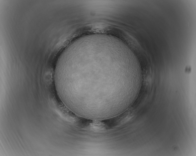 X0000113220603200909241450