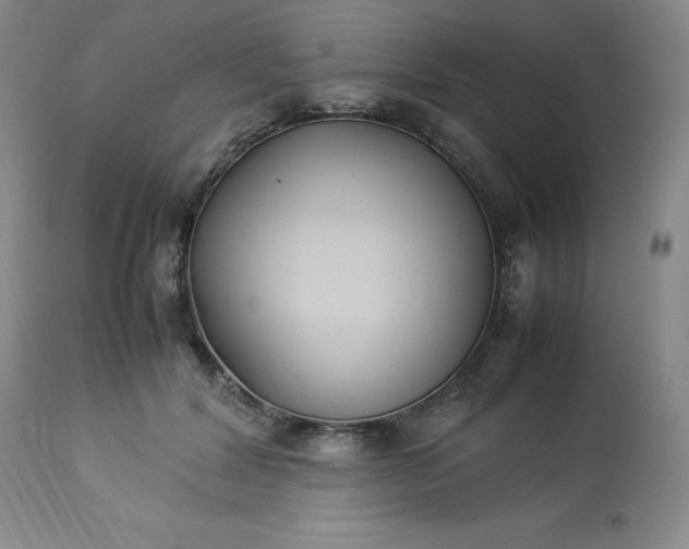 X0000113220604200909241450