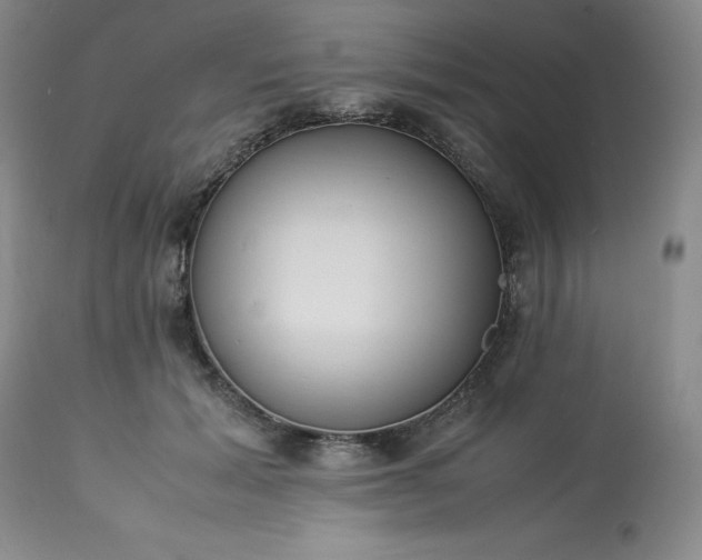 X0000113220605200909241450