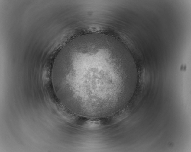 X0000113220606200909241450