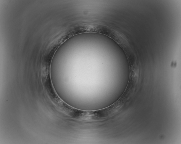 X0000113220607200909241450