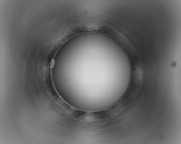 X0000113220608200909241450