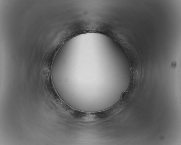 X0000113220609200909241450