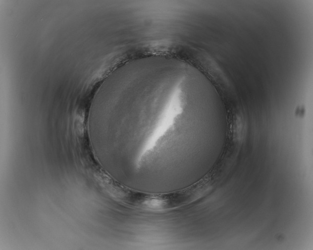 X0000113220610200909241450