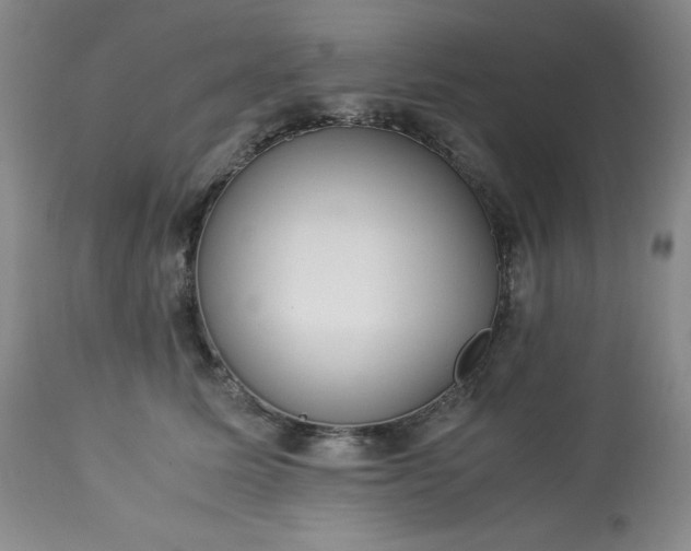 X0000113220611200909241450