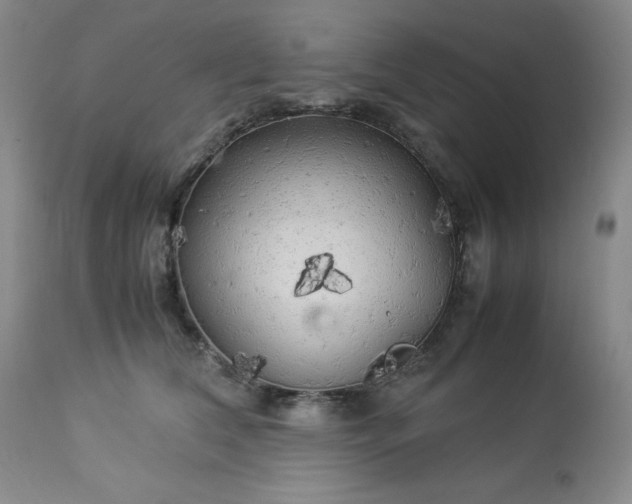 X0000113220612200909241450