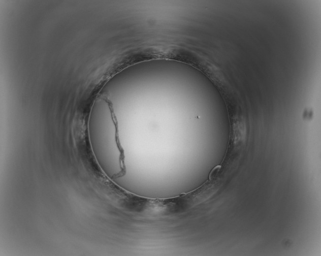 X0000113220613200909241450