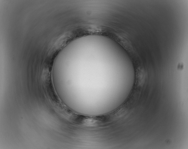 X0000113220614200909241450