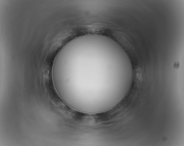 X0000113220615200909241450