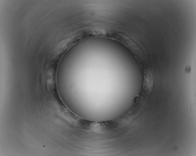 X0000113220616200909241450