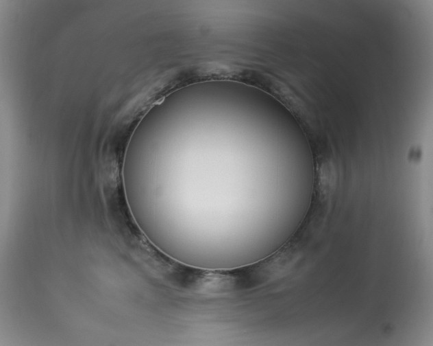 X0000113220617200909241450