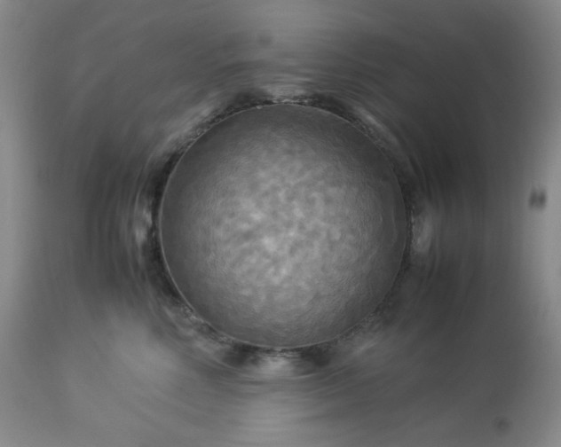 X0000113220618200909241450