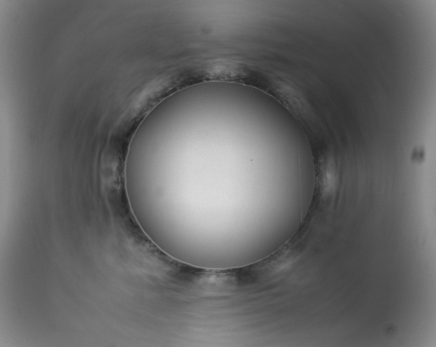 X0000113220619200909241449