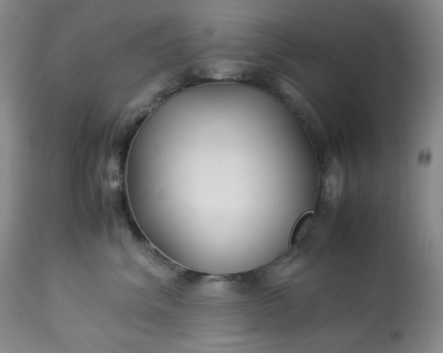 X0000113220620200909241449