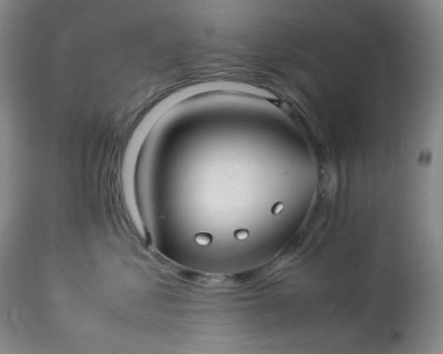 X0000113220621200909241449