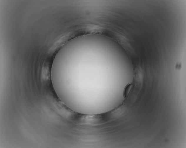 X0000113220622200909241449