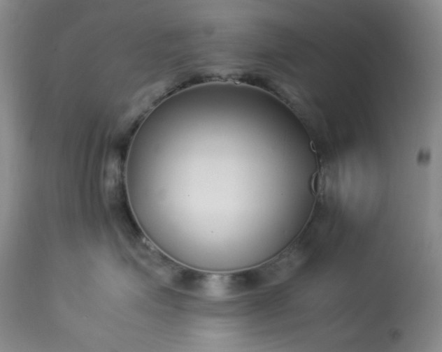 X0000113220623200909241449