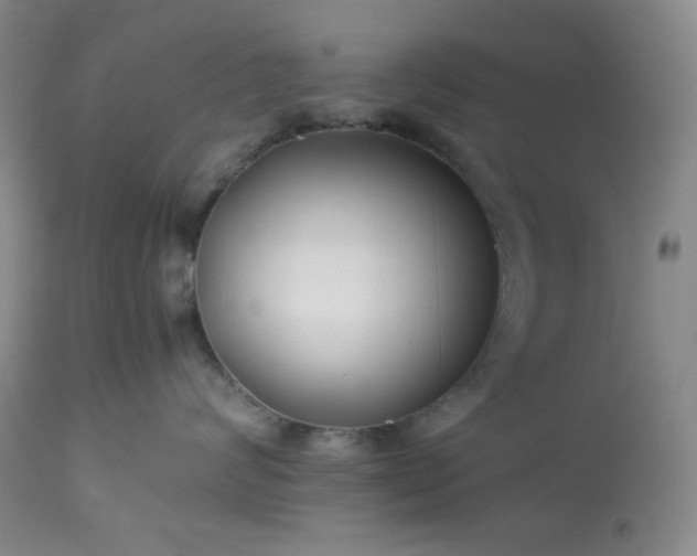 X0000113220624200909241449