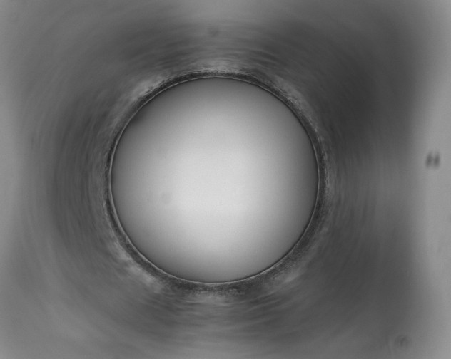 X0000113220625200909241449