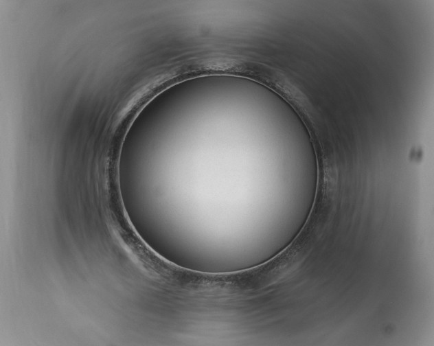 X0000113220626200909241449