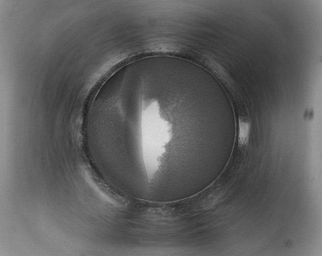 X0000113220627200909241449