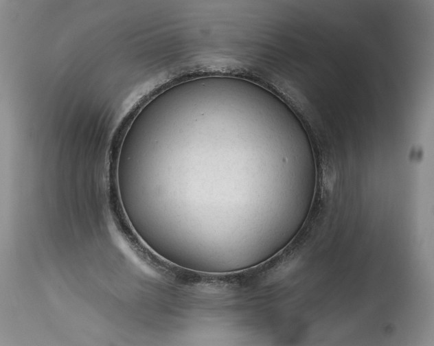 X0000113220630200909241449