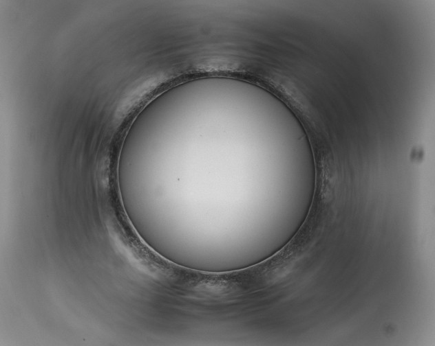 X0000113220631200909241449