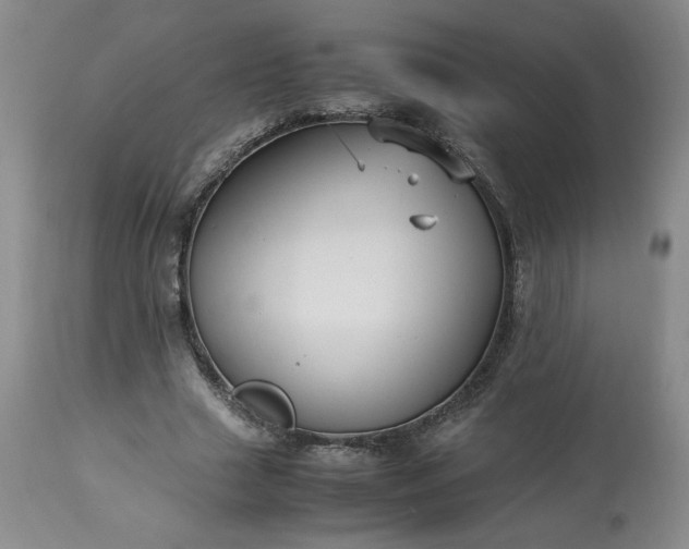 X0000113220633200909241449