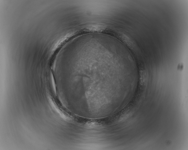 X0000113220634200909241449