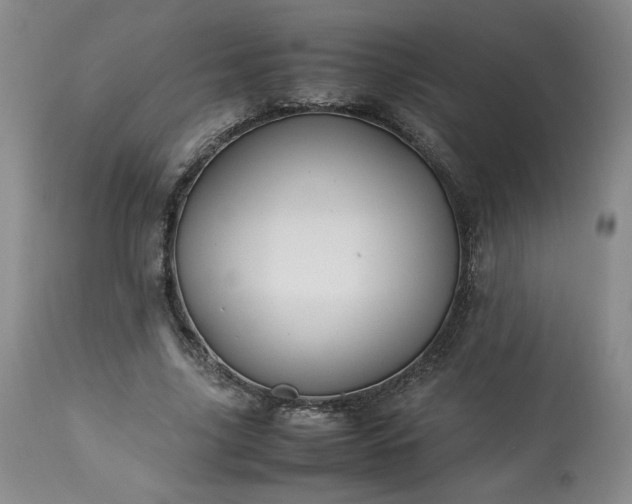 X0000113220635200909241449