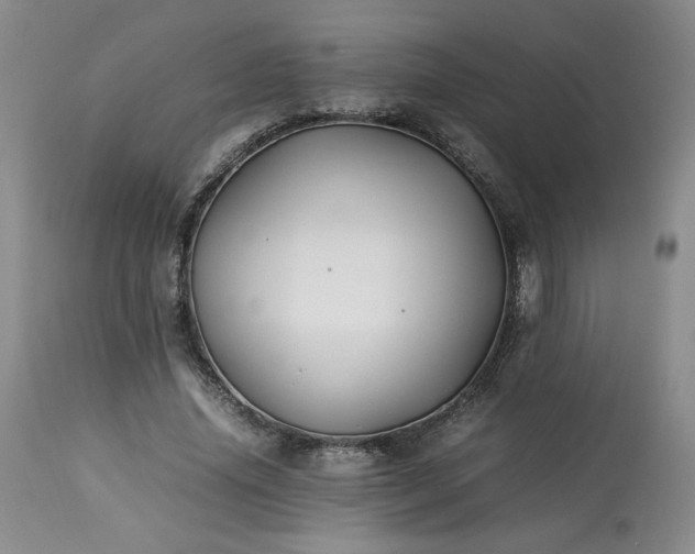 X0000113220636200909241449