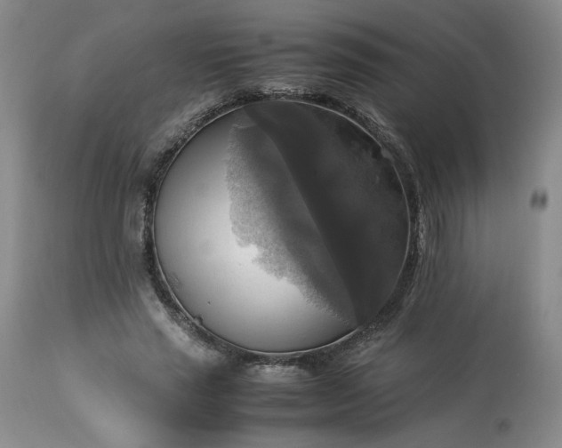 X0000113220637200909241449