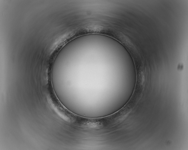 X0000113220638200909241449