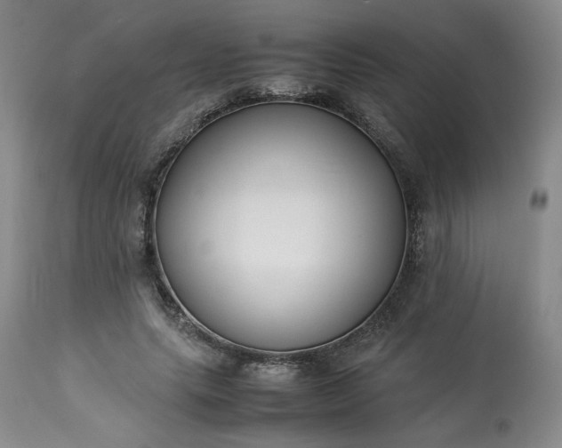 X0000113220639200909241449