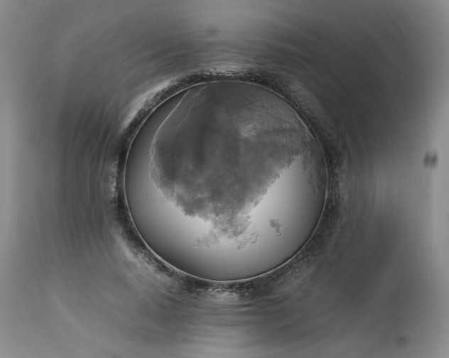 X0000113220640200909241449